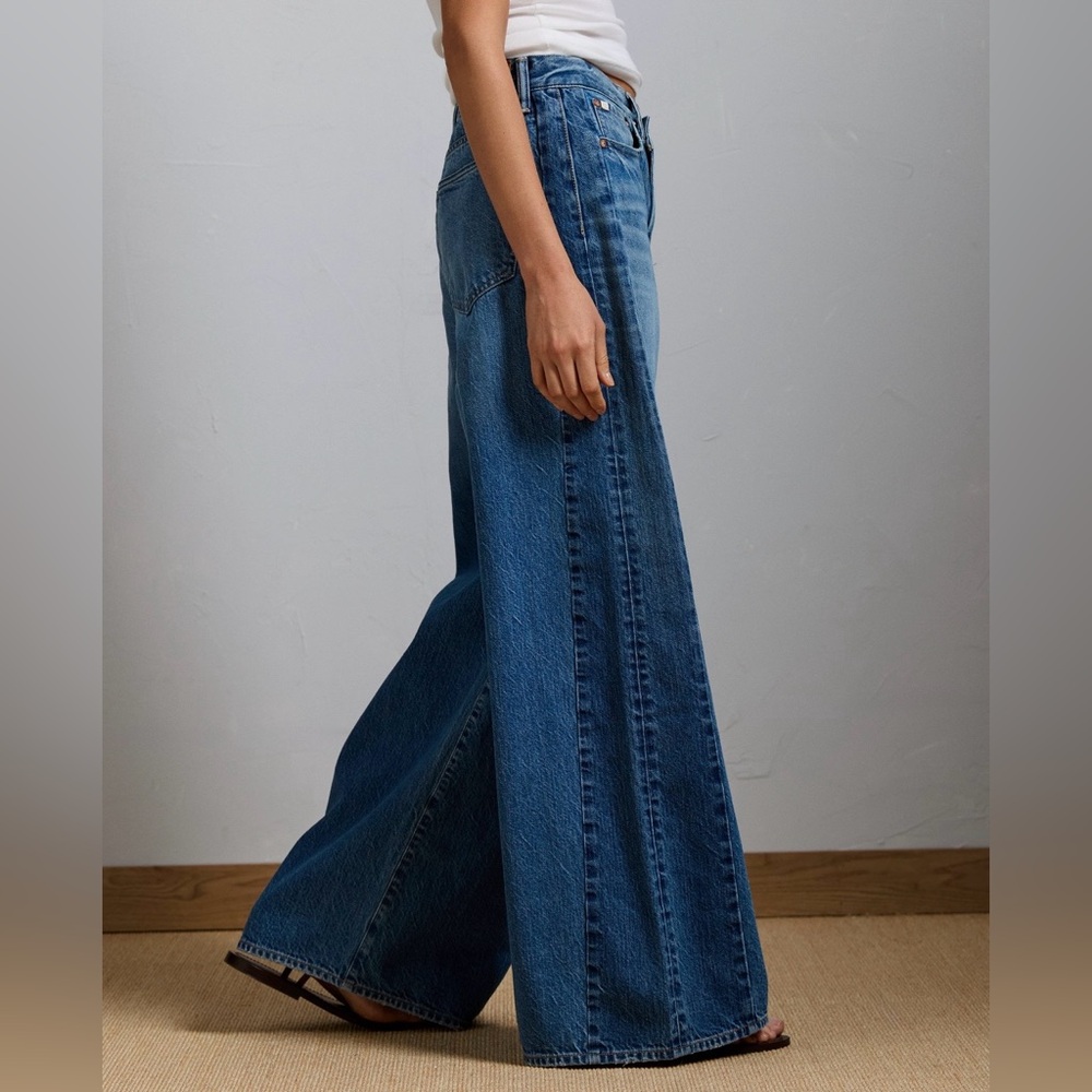 AE77 Premium Super Wide Side Stripe Jean - Picture 2 of 14